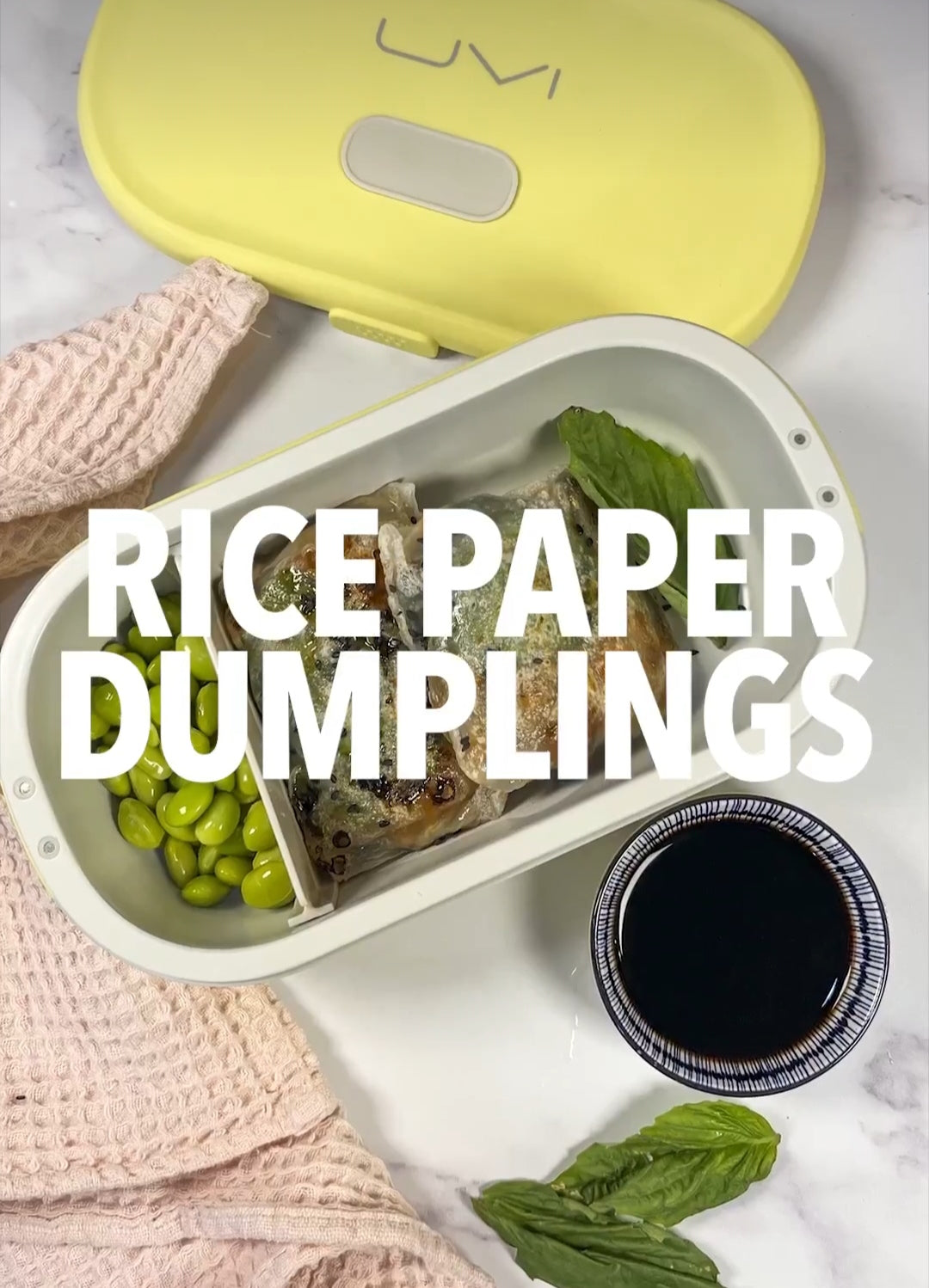 Rice Paper Dumplings for lunch in your UVI lunchbox