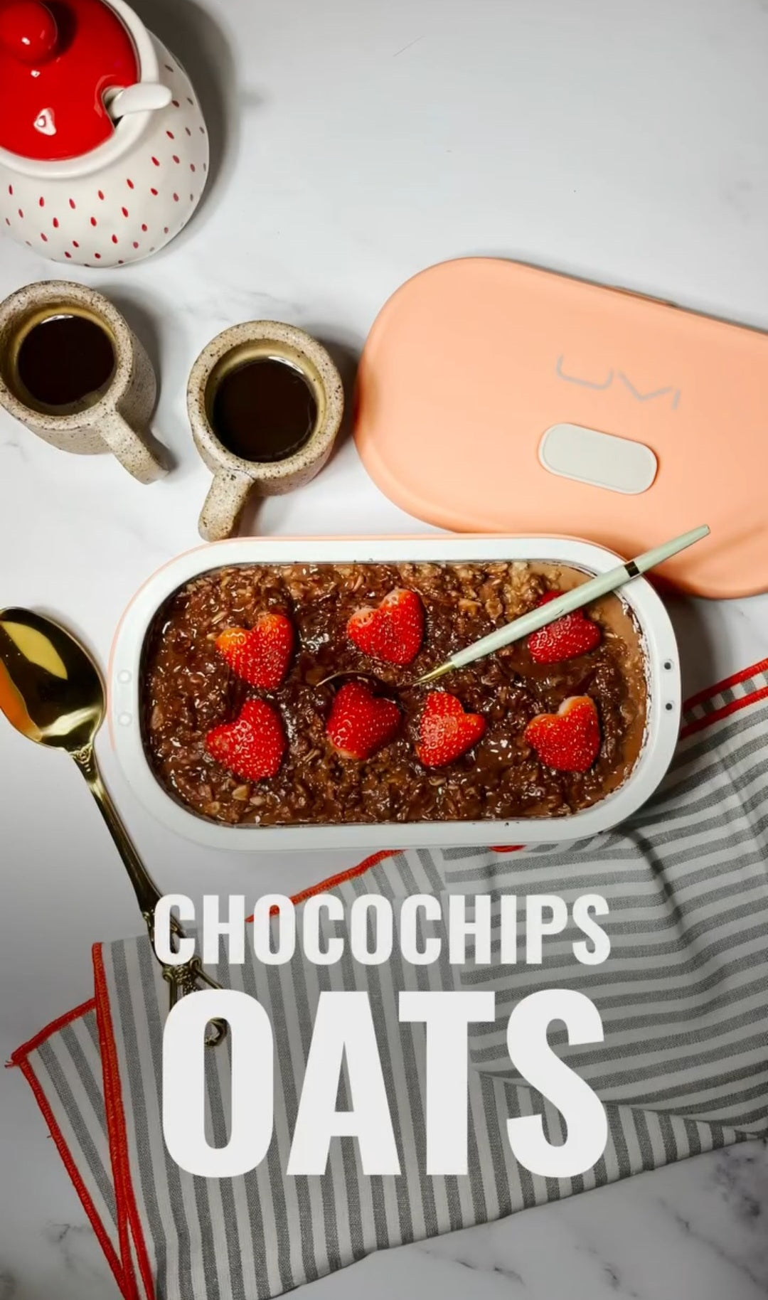 Chocochips Oats