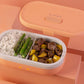 Salmon UVI Self Heating & Cleaning Lunch Box
